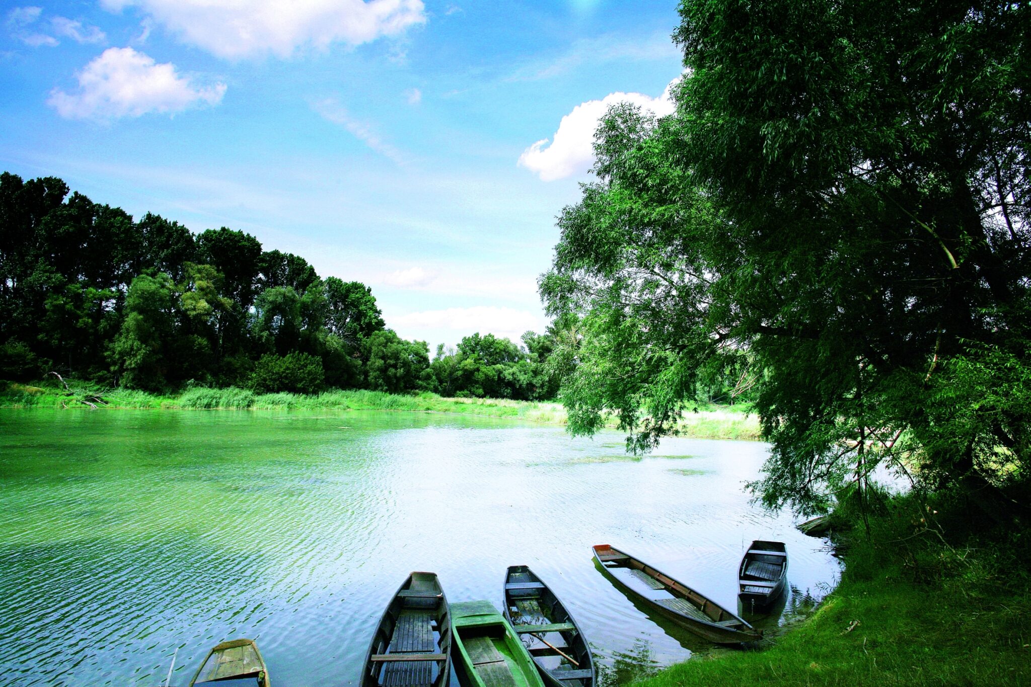 Das Bild zeigt ein Gewässer in der Lobau, dem Wiener Teil des Nationalparks Donau-Auen. Am Ufer ist dichter Baumbestand zu sehen, im Vordergrund liegen einige Holzboote im Wasser. © Jürgen Staudacher