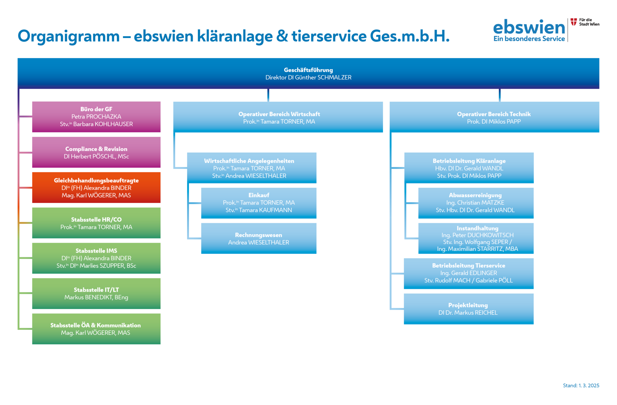 Organigramm der ebswien kläranlage & tierservice Ges.m.b.H. zum Stichtag 1. 3. 2025