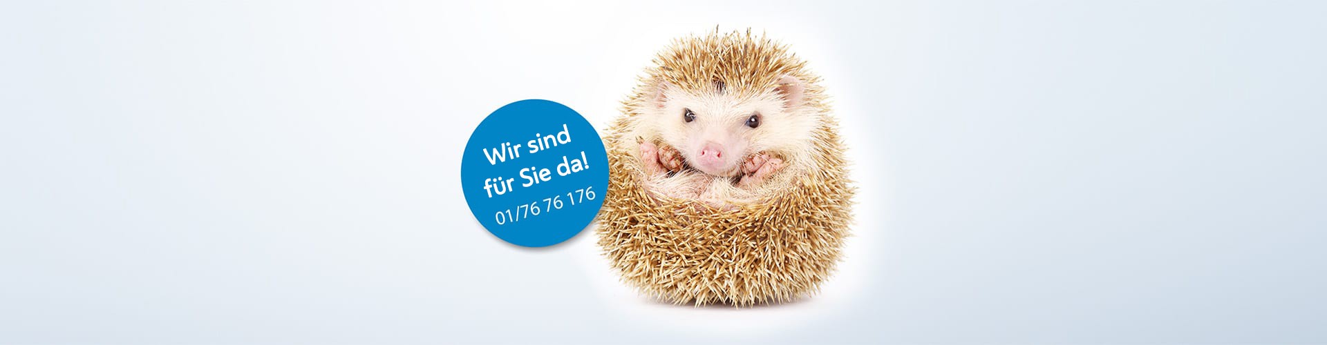 Das Bild zeigt einen Igel. Daneben ein blauer Button mit der Aufschrift: "Wir sind für Sie da!" und der Telefonnummer der Abteilung Tierservice der ebswien (01/76 76 176).