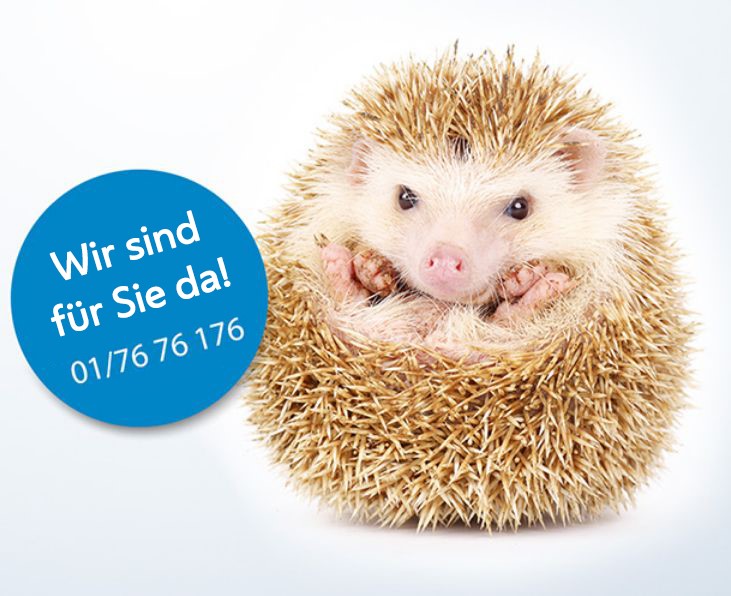 Das Bild zeigt einen Igel. Daneben ein blauer Button mit der Aufschrift: "Wir sind für Sie da!" und der Telefonnummer der Abteilung Tierservice der ebswien (01/76 76 176).