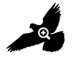 Das Bild zeigt die schwarze Silhouette eines Vogels im Flug auf weißem Grund. Auf der Silhouette ist in Weiß eine Lupe mit einem Plus-Zeichen im Fokus zu sehen.